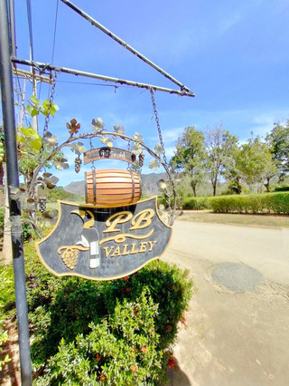PB Valley Khao Yai: Thailand’s ground‑breaking tropical winery