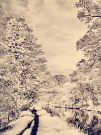 Philippines Negros Mount Kanlaon Mambucal Mossy Hot Spring Park