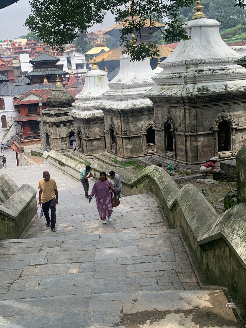 📅 Itinerary

Day 1 – Kathmandu 🇳🇵
Explore Thamel, local streets, cafés and markets. Enjoy the unique atmosphere of Kathmandu!

Day 2 – Kathmandu 🛕
Discover Kathmandu’s historic temples, old streets and beautiful city views.

Day 3 – Kathmandu → Chitwan 🌿
Travel to Chitwan and explore Sauraha. Enjoy the peaceful atmosphere and local Tharu culture.

Day 4 – Chitwan 🦏🌴
Jungle adventure in Chitwan National Park! Look for rhinos, crocodiles and other wildlife.

Day 5 – Back to Kathmandu ✈️
Enjoy a relaxed morning before heading back to Kathmandu.

🏨 Accommodation
Budget-friendly stays around Thamel and Sauraha.

🍜 Food Recommendations
Don't miss momo, dal bhat and thukpa! 🇳🇵❤️

📌 Tips
Wear comfortable shoes, carry some cash and don't forget your camera! 📸