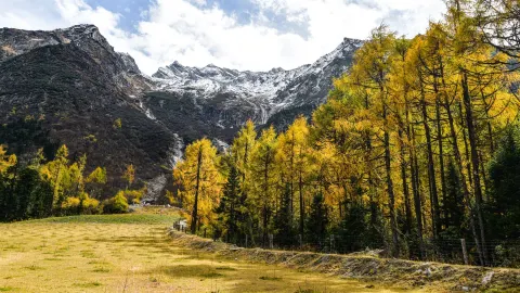 🍁 Bifenggou (毕棚沟), a paradise in autumn, offers breathtaking views like a painting! 🏔️🍂 — traveler post in Aba Prefecture