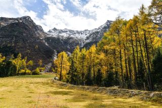 🍁 畢棚溝，秋色絕美，宛如一幅畫卷！ 🏔️🍂