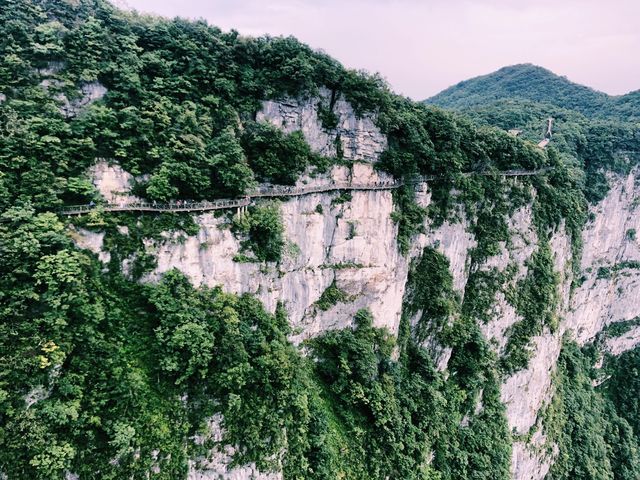 THE CLIFF HANGING WALKWAY😱