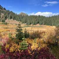 The natural beauty of Sunrise national Park 