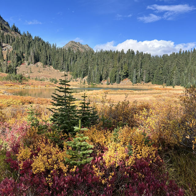 The natural beauty of Sunrise national Park 