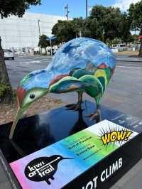 Kiwi 是奇異果也是奇異鳥