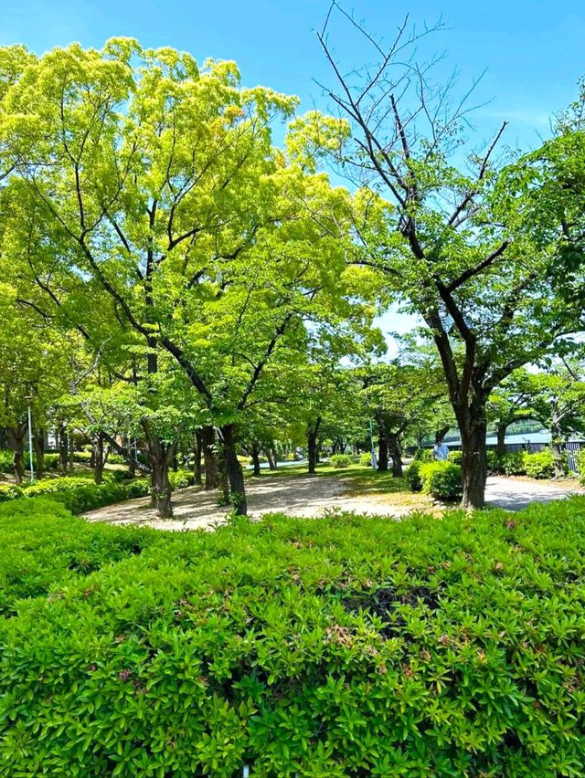 長柄東公園