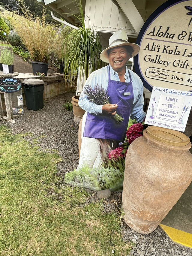 Discover the Serenity of Ali‘i Kula Lavender Farm – Maui’s Hidden Gem