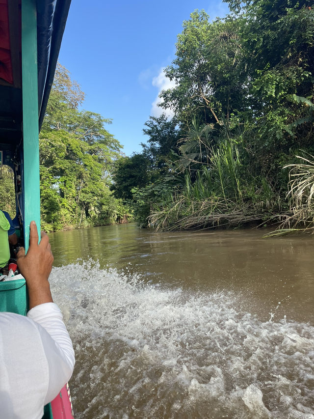 Costa Rica Turtle Island 