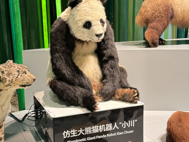 Chengdu Research Base of Giant Panda Breeding