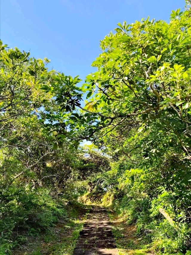 綠島過山步道
