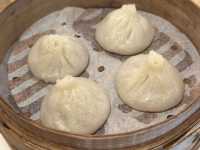 雪梨盛大的光影藝術盛會