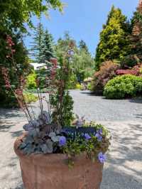 Blue Spruce Tokachiya: Your Garden Table Awaits 🐿️☕️