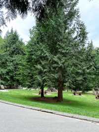 🇨🇦North Vancouver에 꼭 가봐야할 폭포Shannon falls park🎈