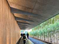 🎋【東京根津美術館 Nezu Museum】都會中的和風秘境🌿｜日式建築＋夢幻庭園＋東洋藝術珍藏｜超值得一訪！