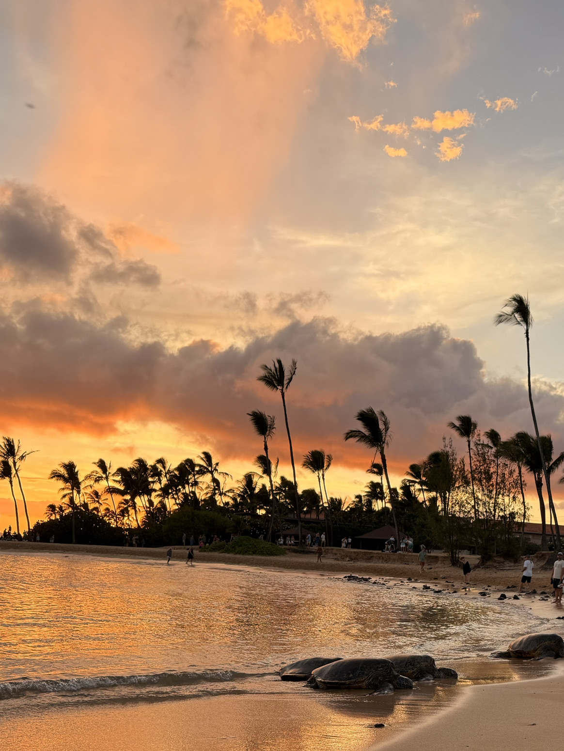 Poipu