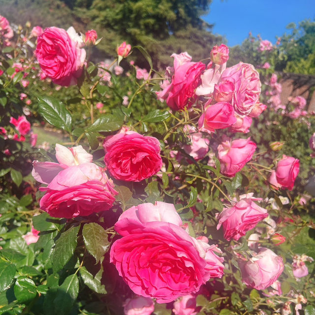 5 Must-See Spots of Bay Area in California