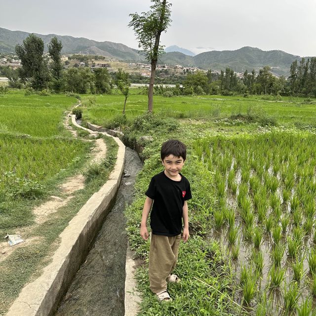 Lower Dir KPK,Pakistan