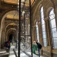 Free museum and definitely go tho packed