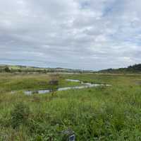 CASTLE SEMPLE COUNTRY PARK