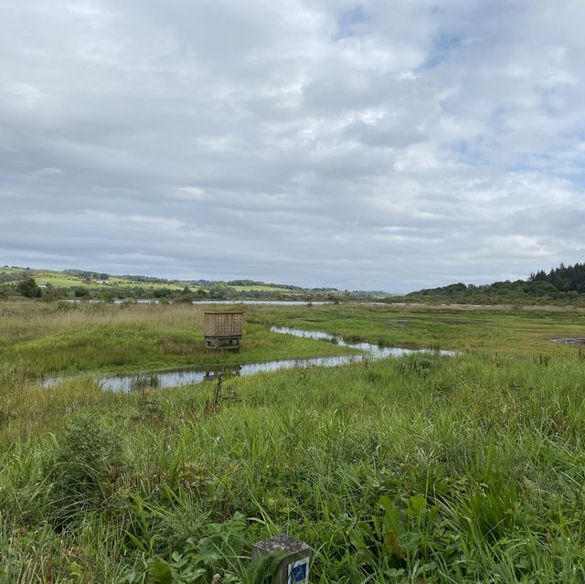 CASTLE SEMPLE COUNTRY PARK