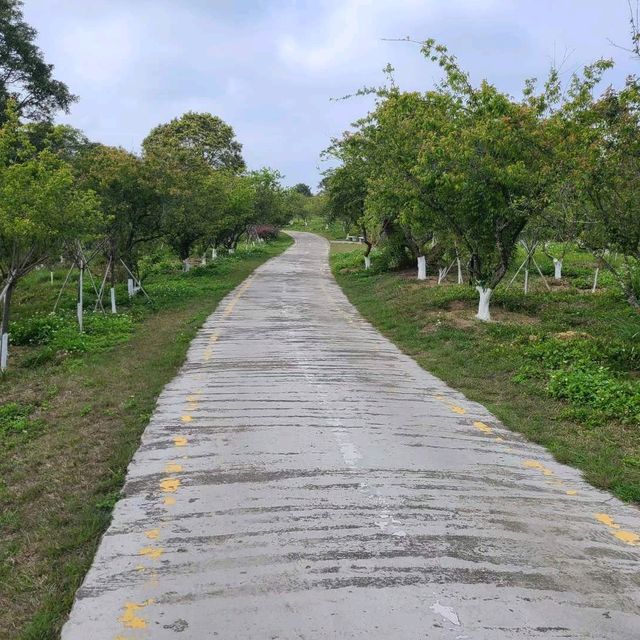 Shenzhen's best hike 