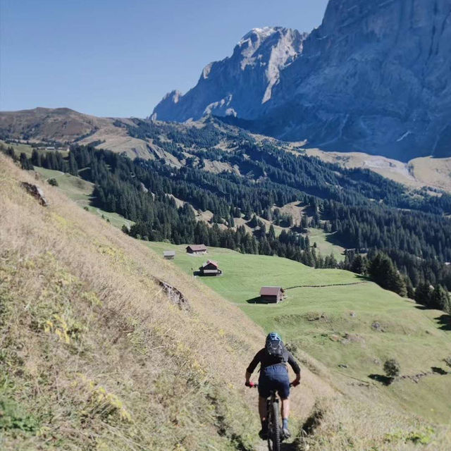 Grindelwald - stunning snow mountains 🇨🇭