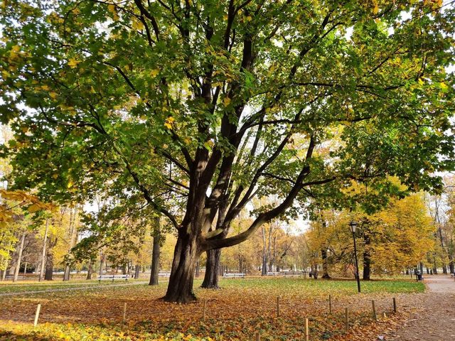 Autumn vibes in Saxon Garden Warsaw 🗺️