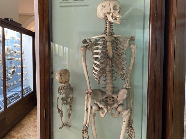 Cultural Oasis: Horniman Museum's Embrace 🏛️