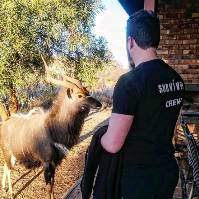 Adventure at a Nature Reserve 🇿🇦