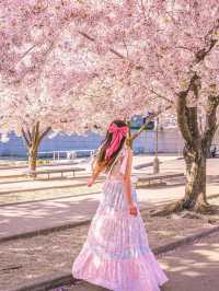 🌸  Brooklyn Botanic Garden 🇺🇸 