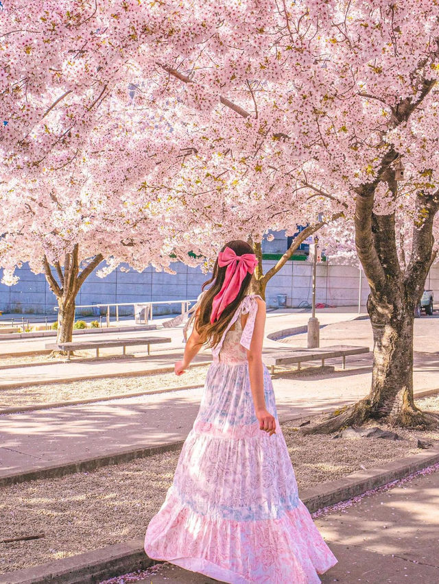 🌸  Brooklyn Botanic Garden 🇺🇸 