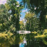 The Charm of Charleston
