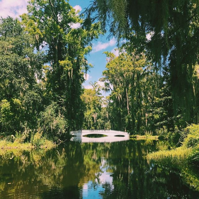 The Charm of Charleston