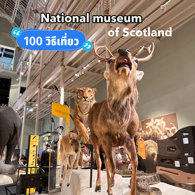 National museum of Scotland