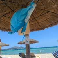 Majorca - Palma Itinerary 1 DAY ✨⭐✨