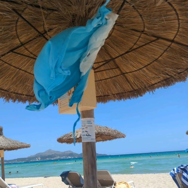 Majorca - Palma Itinerary 1 DAY ✨⭐✨