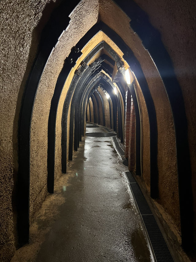🇨🇿Plzeň🍺