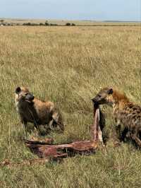 Maasai Mara Safari Tour