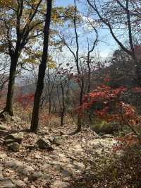 🍂⛰️ Autumn Hiking in Bukhansan: Seoul’s Mountain Escape