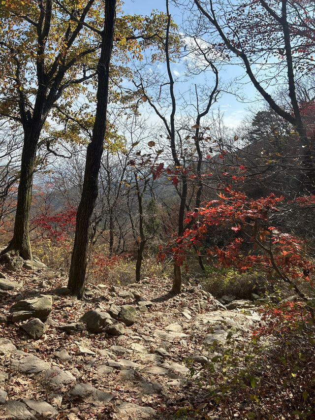 🍂⛰️ Autumn Hiking in Bukhansan: Seoul’s Mountain Escape