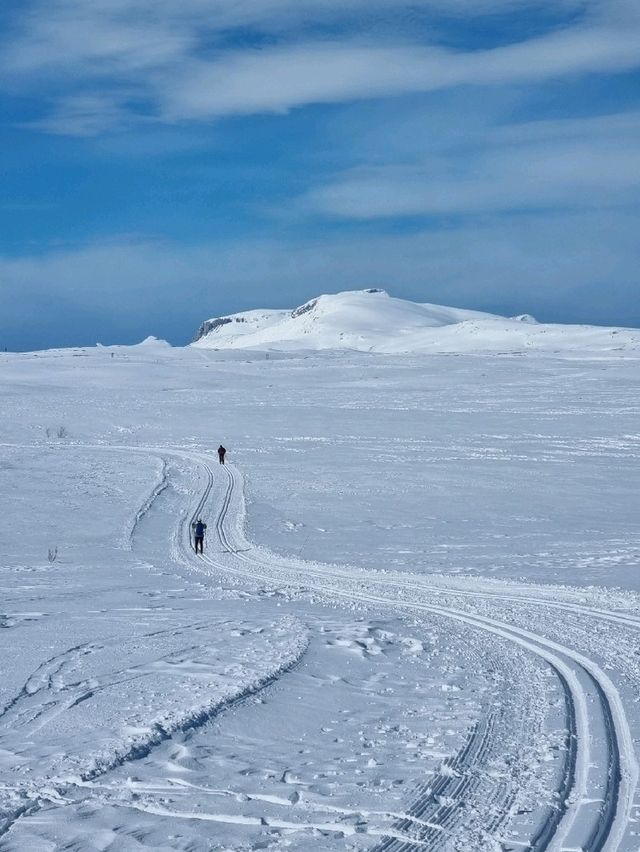 🇳🇴 Look no further than Bodø for your arctic adventure ✈️❄️ 