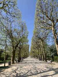 巴黎春天必須體驗百花齊放Jardin des Plantes