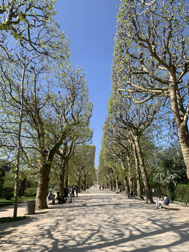 巴黎春天必須體驗百花齊放Jardin des Plantes