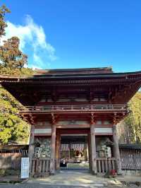 That shrine will bring you benefits
