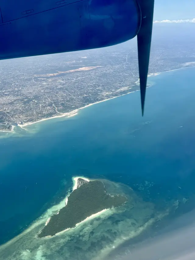 Tropical Dreams of Zanzibar Island 🏝️ 