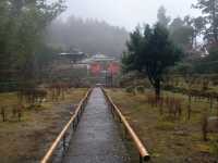 A magnificent temple with famous waterfall, Nachi Falls and a three-story pagod