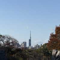 A Perfect Day in Fukuoka: Art, Gardens, Castle Views & Ramen Hits 