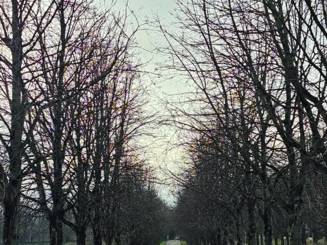 Stuttgart: Where Innovation Meets Elegance