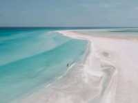 Socotra guide 