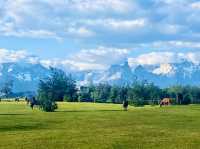 Wildlife Watcher’s Paradise